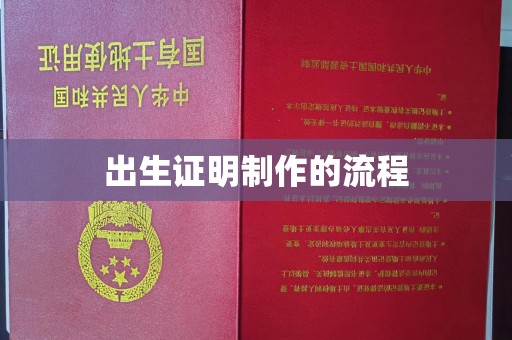 浑源出生证明制作的流程